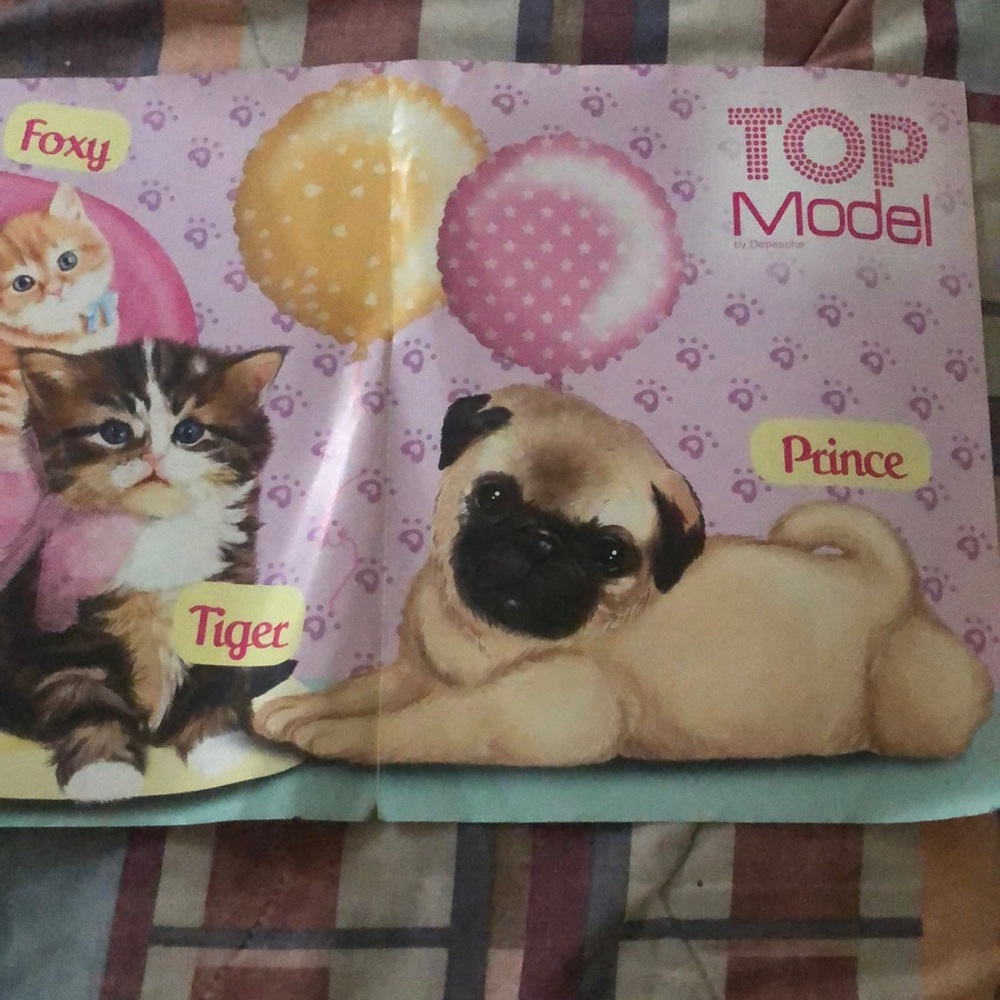 Is a poster double sided never used